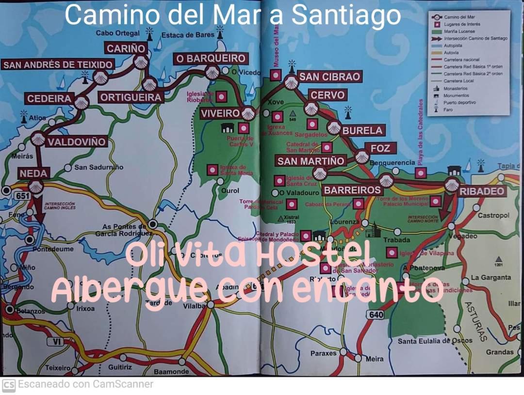 Oli Vita Hostel Albergue Con Encanto Viveiro Exterior foto